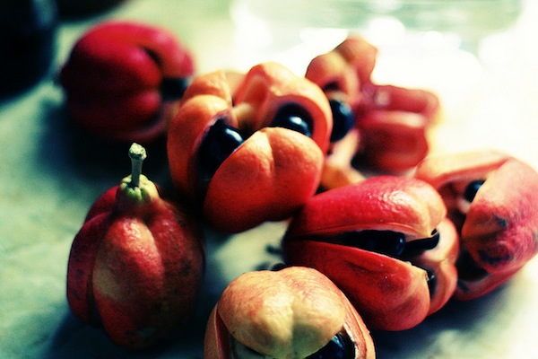 Información sobre el Ackee, fruto africano Fruta-peligrosa-ackee